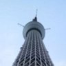てっちゃ's profile picture