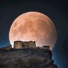 Фото профиля فهد اليافعي