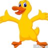 Profilbild von Mainduck