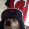 Faruk profil fotoğrafı