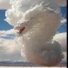🐉🐉あすなろ🐉🐉 profil fotoğrafı