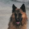 lafenodurmiente's profile picture
