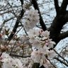 虚無虚無ムリン.com profil fotoğrafı
