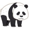 いさむ/ササ's profile picture