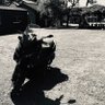 Фото профиля ヨッシー