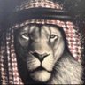 احمد عبد الله profil fotoğrafı