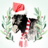 DomDonkey's profile picture