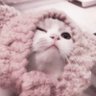Profilbild von るあ