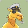 Profilbild von 揚州游