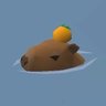 Фото профиля Capybara