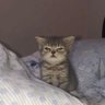 Profilbild von Bad Boy