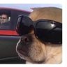 Chubbs Peterson profil fotoğrafı