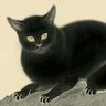 Beelzebub2049's profile picture