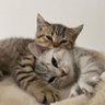 fan account de Lola ♡ profil fotoğrafı
