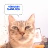 Jojo's profile picture