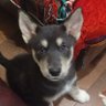 FrogsInThePod's profile picture