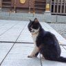 sasasasasan's profile picture