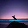 Фото профиля RAVI