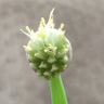 Фото профиля ふじもと ゆか