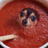 Profilbild von Bob LobLaw