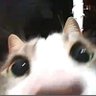 *・゚✧:・゚𝓛𝓾𝓷𝓪 *:・゚✧・゚ profil fotoğrafı