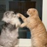 ร่างกายต้องการคาเฟ่ ⑤ ϟ ④ ❃ profil fotoğrafı