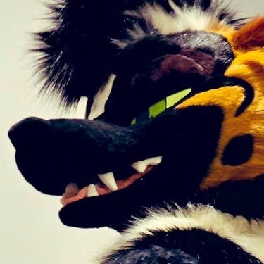 F0XY's profile picture