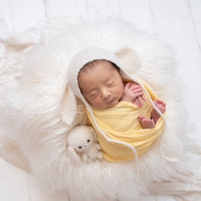 AOMINoshibot's profile picture