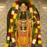 Niladri's profile picture