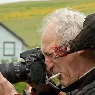 fahdfahd4444's profile picture