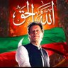 Malik Muhammad Awan's profile picture