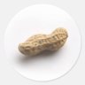 Larry Peanut's profile picture
