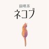 Фото профиля 猫喫茶 ネコブ