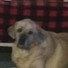 Profilbild von Franklin Burn