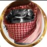 وطبان profil fotoğrafı