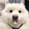 ซาmile's profile picture