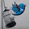 patricia aitchison's profile picture