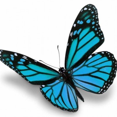Aissatouis's profile picture