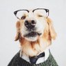 LingX profil fotoğrafı