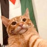 yomna's profile picture