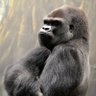 Profilbild von Der Thomas