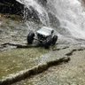 Фото профиля Astrid’s Action RC