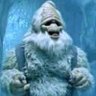 Profilbild von Yeti Norg