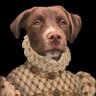 Ryan D.'s profile picture