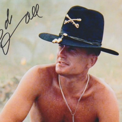 pilgrimofbeauty's profile picture