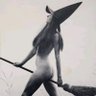 ira.cunda's profile picture