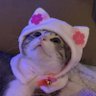 Profilbild von Rella06