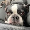 Ruffonstuff profil fotoğrafı