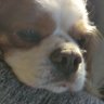 Nore's profile picture