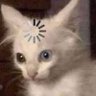 Profilbild von selke smooth